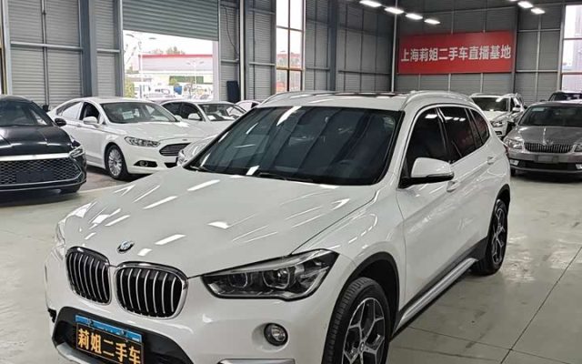 BMW X1 2019 xDrive20Li Luxury