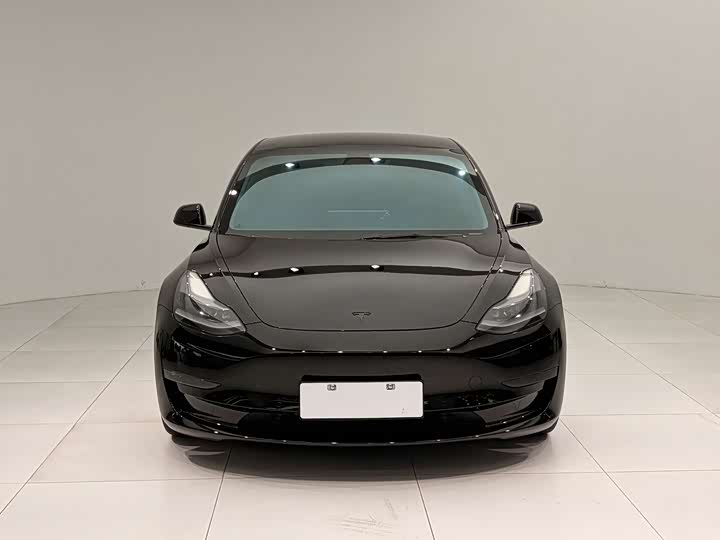 Model 3 2021 Performance高性能全轮驱动 Edition - zdjęcie 2