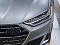 奥迪A7L 2024 45TFSI S-line 筑梦 Trim 流晶套装 - zdjęcie 18