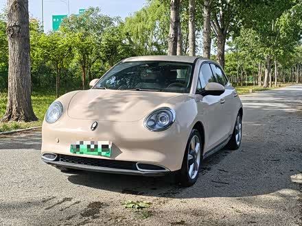 欧拉好猫 2023款 401km标准续航 豪华型 磷酸铁锂