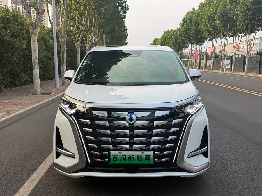 D9 2022 DM-i 970 4WD Honor