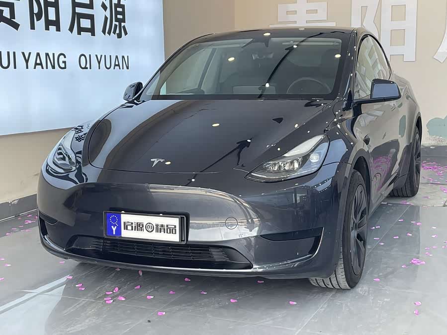 Model Y 2024 RWD