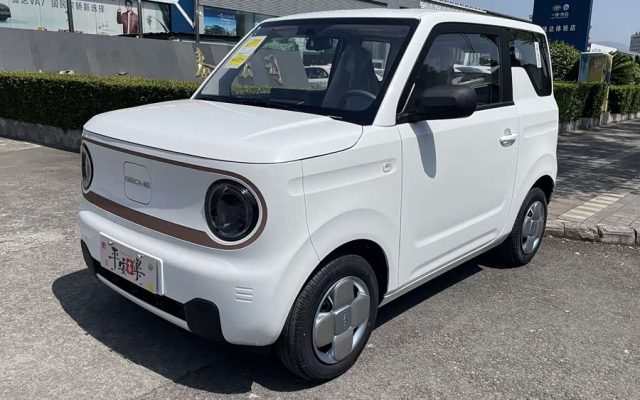 Panda Mini 200km Endurance