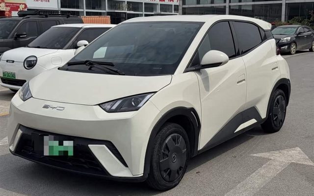 Seagull 2024 Glory Edition 305km Vitality Edition