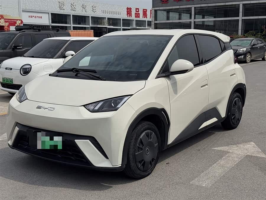 Seagull 2024 Glory Edition 305km Vitality Edition