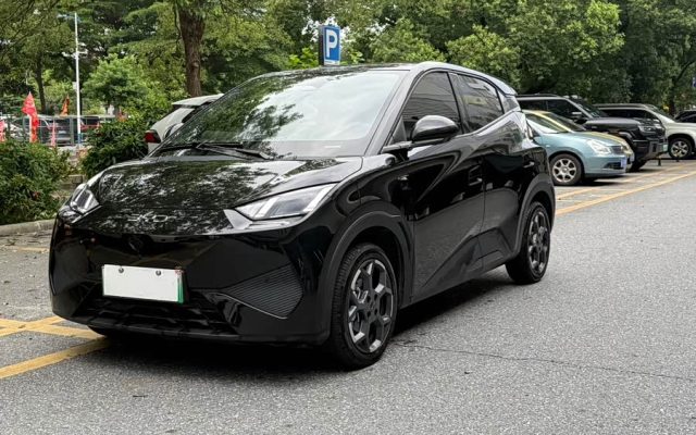 Seagull 2025 Smart Drive 405km Flying Edition