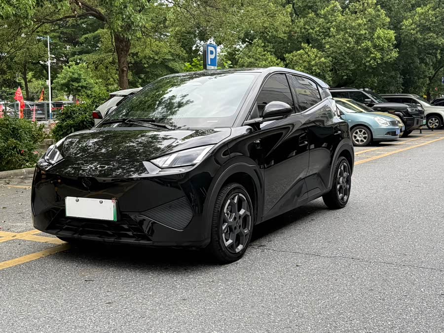 Seagull 2025 Smart Drive 405km Flying Edition