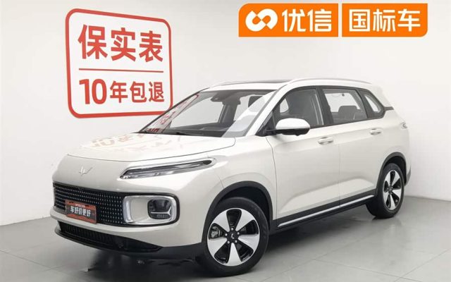 Wuling Xingyun 2023 2.0L DHT Flagship