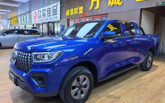 2023 2.0T Commercial Version Automatic Diesel Two-Wheel Drive Elite Long Box GW4D20M