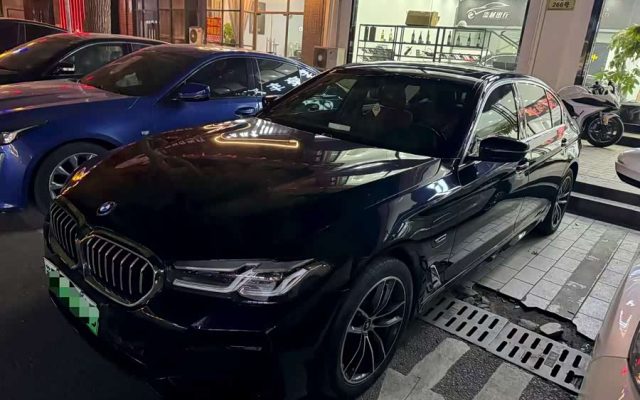 BMW 5 Series New Energy 2022 535Le Luxury