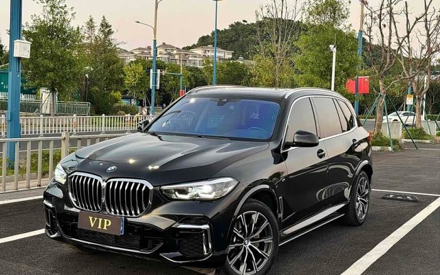 BMW X5 2022 xDrive 30Li M Sport
