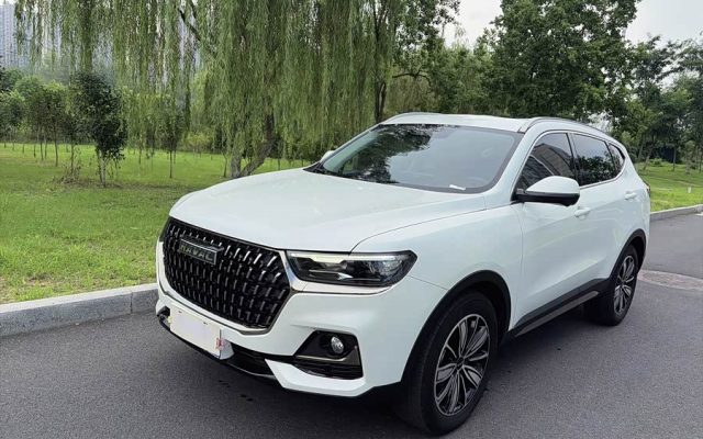 Haval H6 2023 National Trend 1.5T Auto Champion