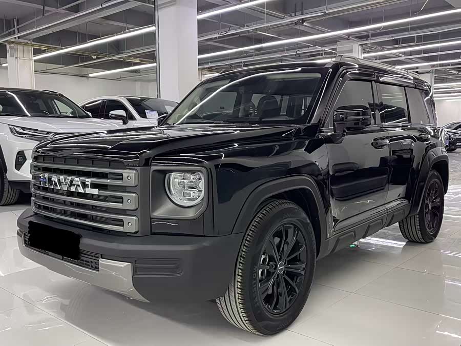 Haval Menglong New Energy 2024 Hi4 145 Off-Road Version