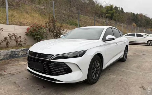 Qin L 2024 DM-i 80KM Leading