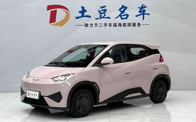 Seagull 2025 Smart Driving Edition 305km Vitality Edition