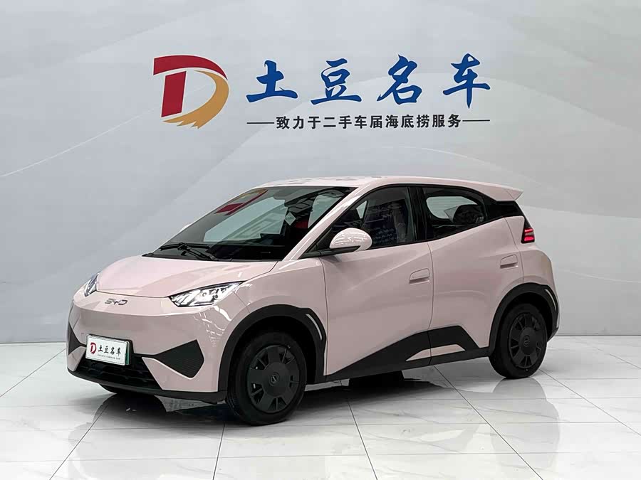 Seagull 2025 Smart Driving Edition 305km Vitality Edition
