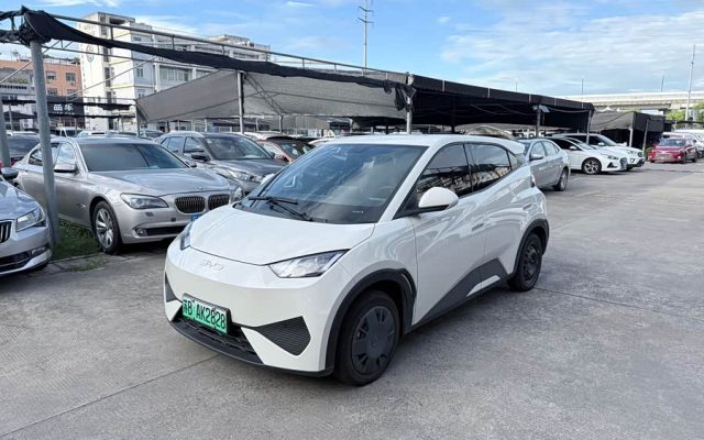 Seagull 2025 Smart Driving Edition 305km Vitality Edition
