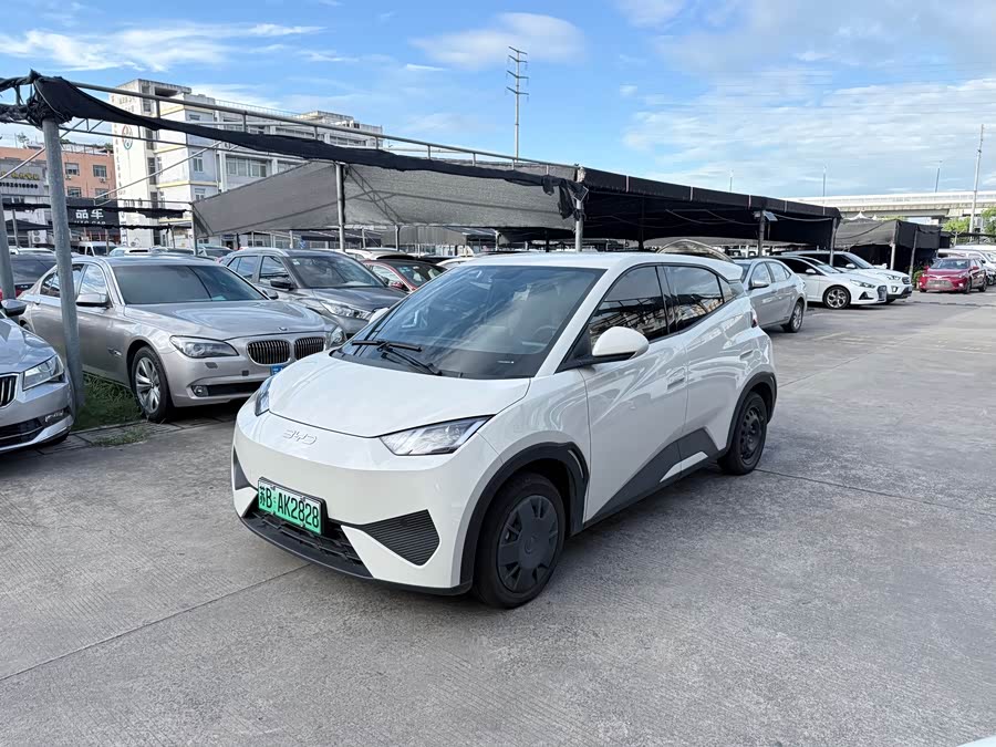 Seagull 2025 Smart Driving Edition 305km Vitality Edition
