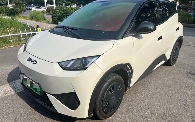 Seagull 2025 Smart Driving Edition 305km Vitality Edition