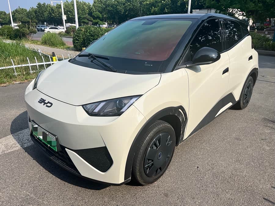 Seagull 2025 Smart Driving Edition 305km Vitality Edition