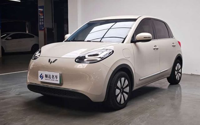 Wuling Bingo 2024 333km Enjoyment Version