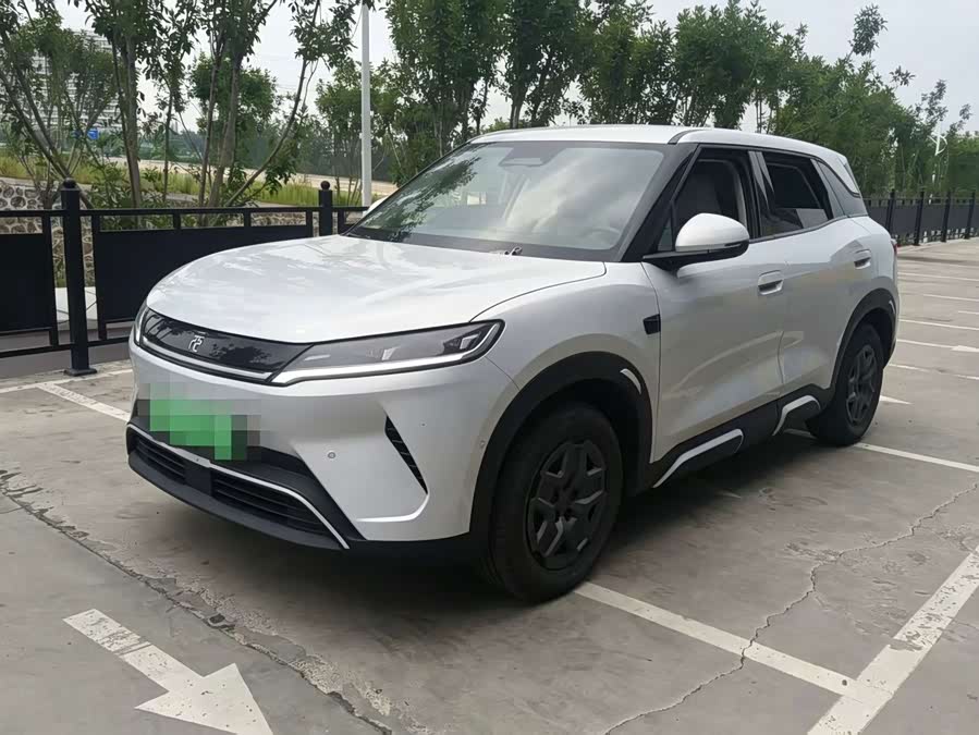 Yuan UP 2025 Smart Drive 401KM Vitality