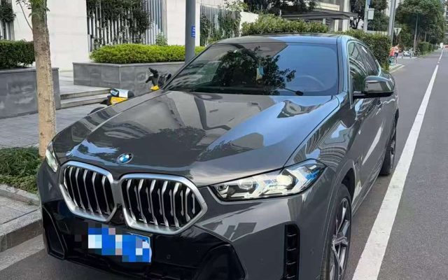 BMW X6 2023 xDrive40i Luxury M Sport Package