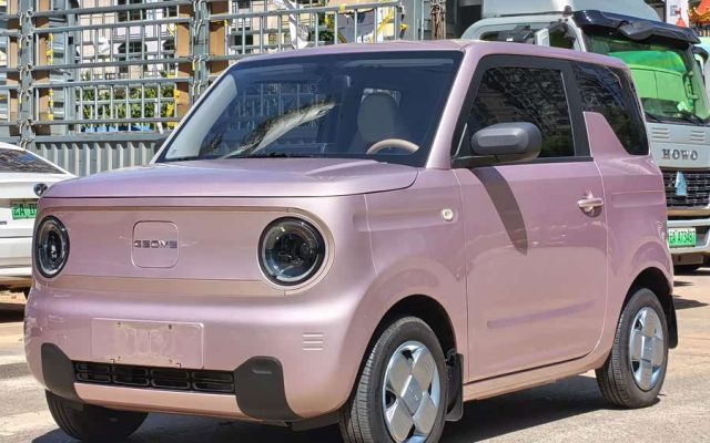 Panda Mini 200km Endurance