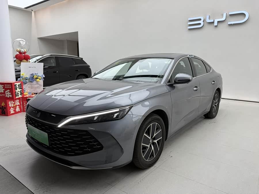 Qin L 2024 DM-i 120KM Leading
