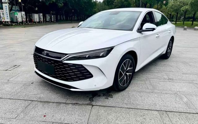 Qin L 2024 DM-i 80KM Super