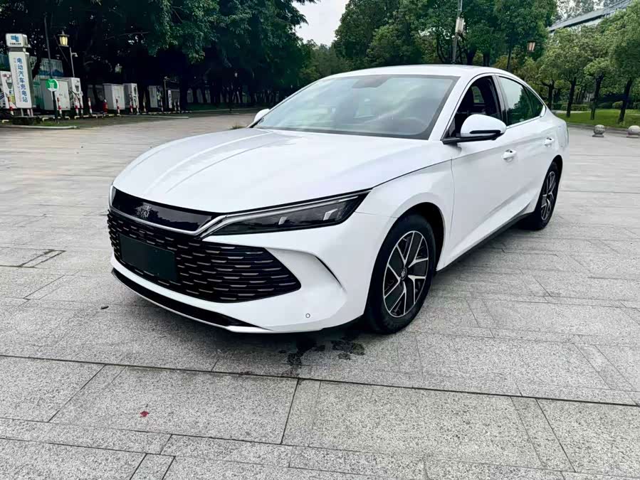 Qin L 2024 DM-i 80KM Super
