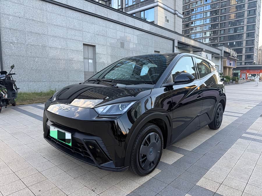 Seagull 2024 Glory Edition 305km Vitality Edition