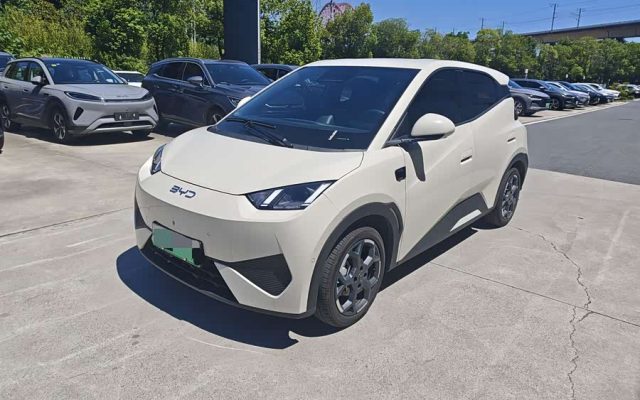 Seagull 2025 Smart Drive 305km Freedom