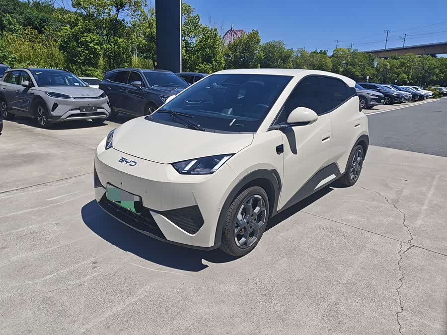 Seagull 2025 Smart Drive 305km Freedom