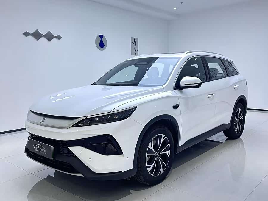 Song Pro New Energy 2025 Second Generation Intelligent Driving Version DM-i 115KM Beyond Type
