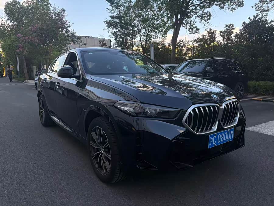 BMW X6 2023 xDrive30i M Sport
