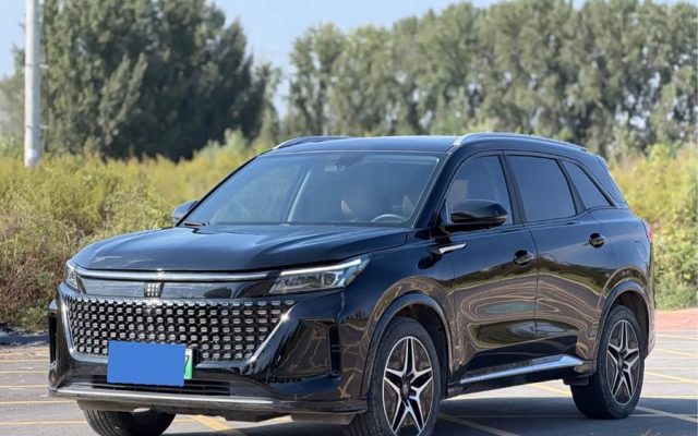 Blue Electric E5 2024 Honor Edition 100KM Premium 7-seater