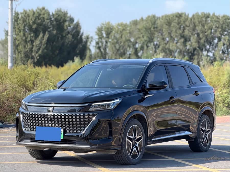 Blue Electric E5 2024 Honor Edition 100KM Premium 7-seater