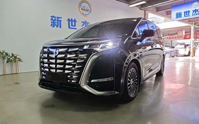 D9 2024 DM-i 980 4WD Honor