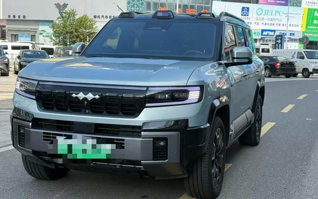 Leopard 8 2025 2.0T Intelligent Flagship 7-Seater