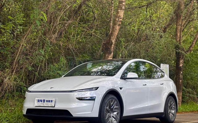 Model Y L 2025 Long Range All-Wheel Drive Version