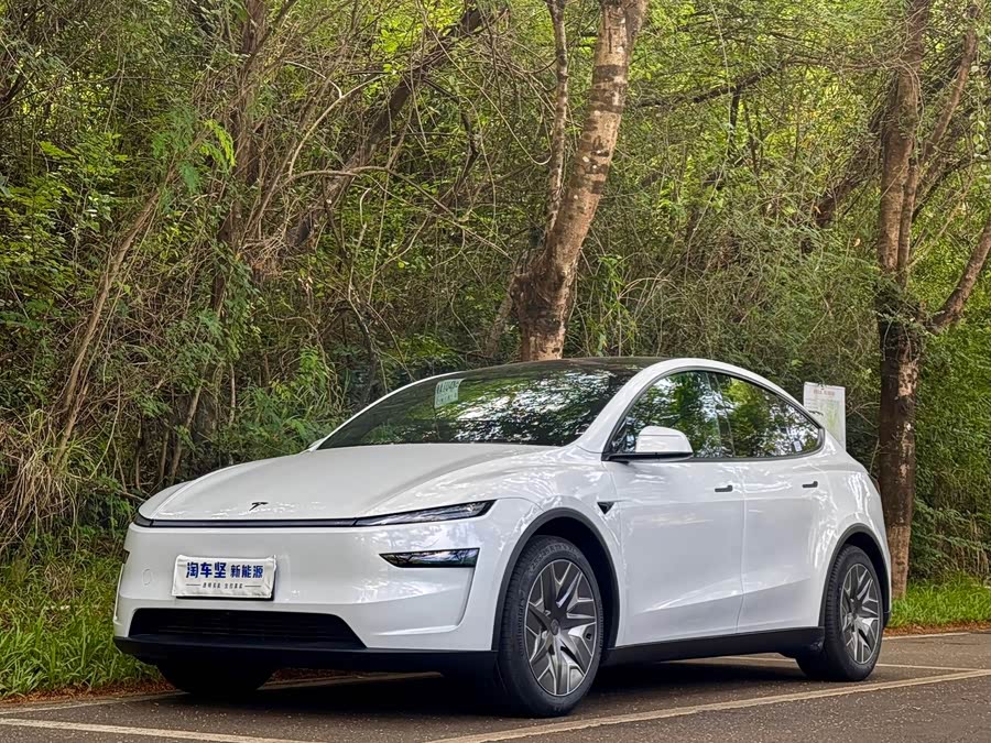 Model Y L 2025 Long Range All-Wheel Drive Version