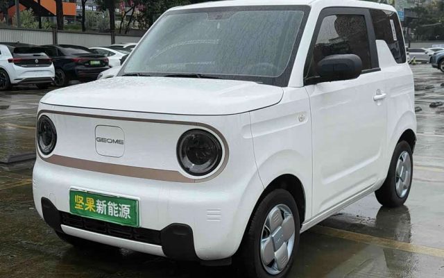 Panda Mini 200km Longteng