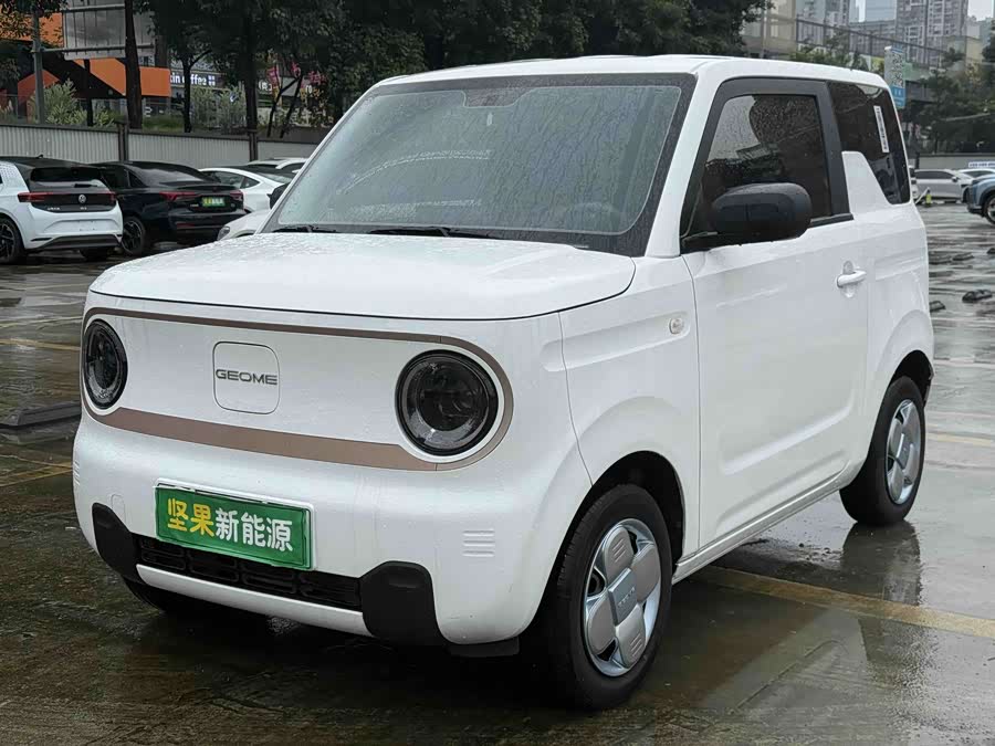 Panda Mini 200km Longteng