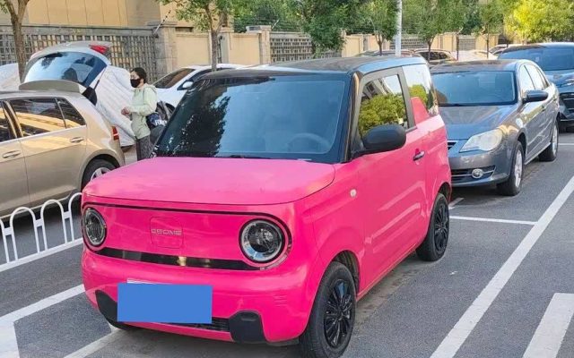 Panda Mini 200km Longteng