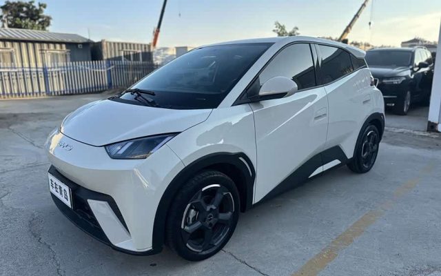Seagull 2023 Vitality Edition
