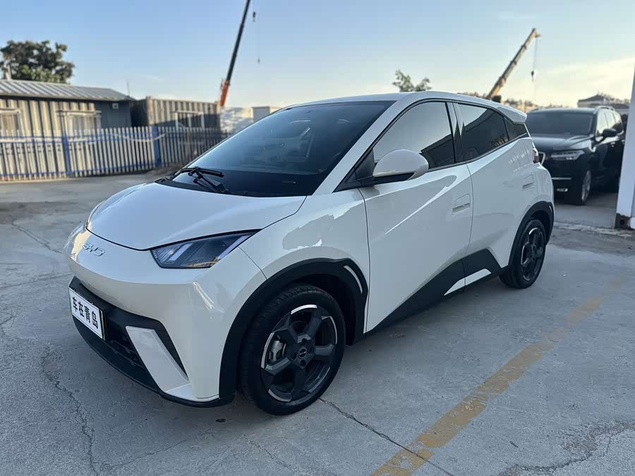 Seagull 2023 Vitality Edition