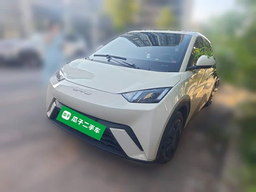 Seagull 2023 Vitality Edition