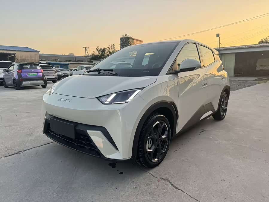 Seagull 2024 Glory Edition 305km Freedom