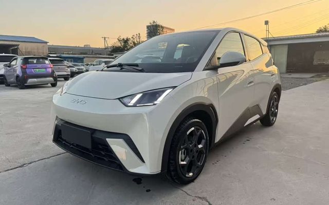 Seagull 2024 Glory Edition 305km Freedom